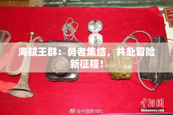 海贼王群：勇者集结，共赴冒险新征程！