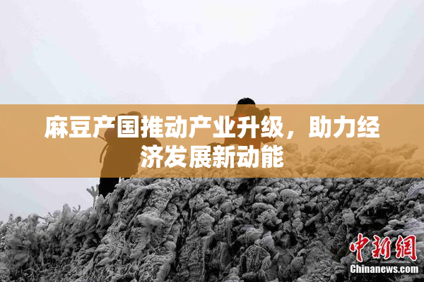 麻豆产国推动产业升级，助力经济发展新动能