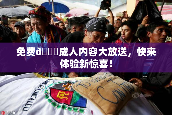 免费🔞成人内容大放送，快来体验新惊喜！