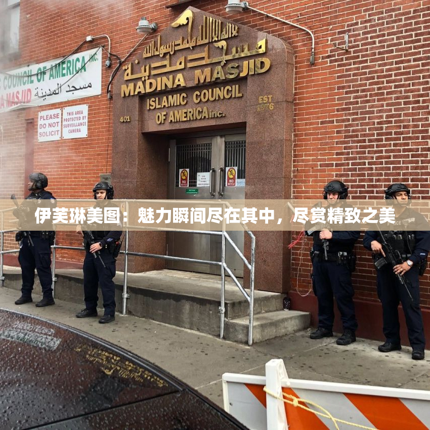 伊芙琳美图：魅力瞬间尽在其中，尽赏精致之美