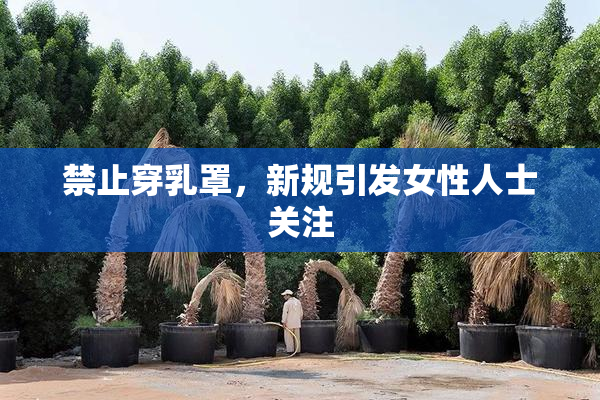 禁止穿乳罩，新规引发女性人士关注