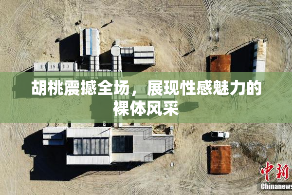 胡桃震撼全场，展现性感魅力的裸体风采