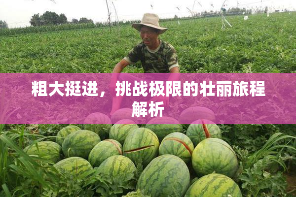 粗大挺进，挑战极限的壮丽旅程解析
