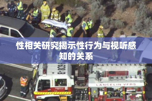 性相关研究揭示性行为与视听感知的关系