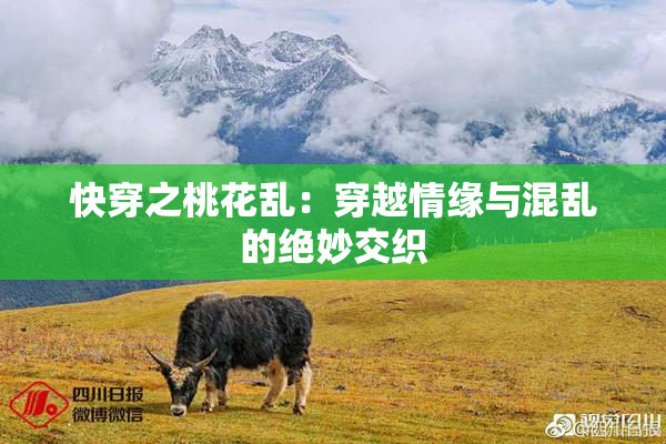 快穿之桃花乱：穿越情缘与混乱的绝妙交织