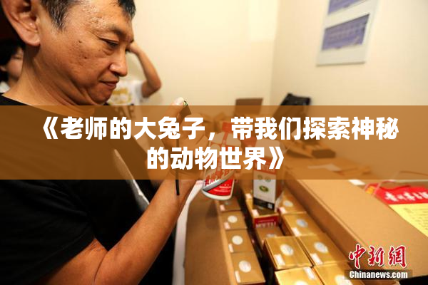 《老师的大兔子，带我们探索神秘的动物世界》
