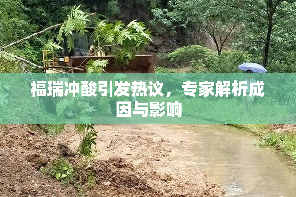 福瑞冲酸引发热议，专家解析成因与影响