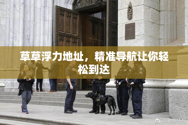 草草浮力地址，精准导航让你轻松到达