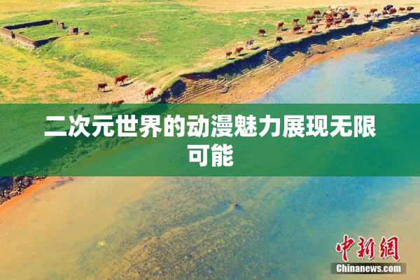 二次元世界的动漫魅力展现无限可能
