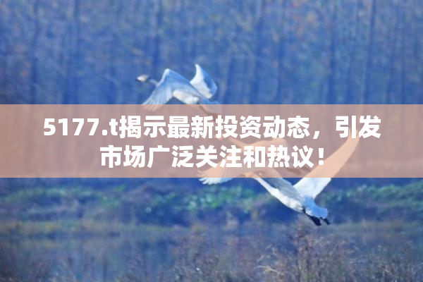 5177.t揭示最新投资动态，引发市场广泛关注和热议！