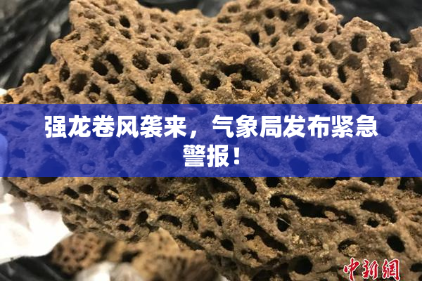 强龙卷风袭来，气象局发布紧急警报！