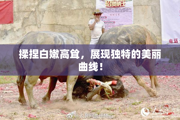 揉捏白嫩高耸，展现独特的美丽曲线！
