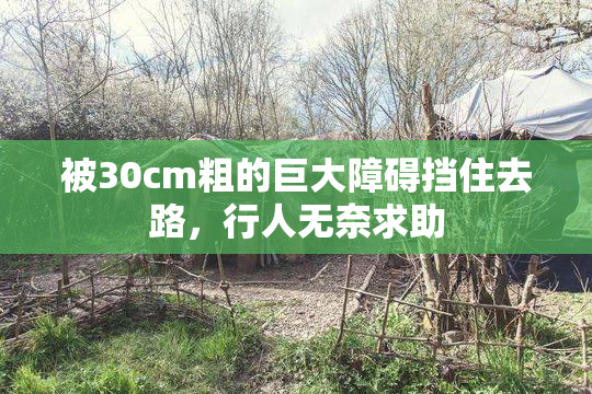 被30cm粗的巨大障碍挡住去路，行人无奈求助