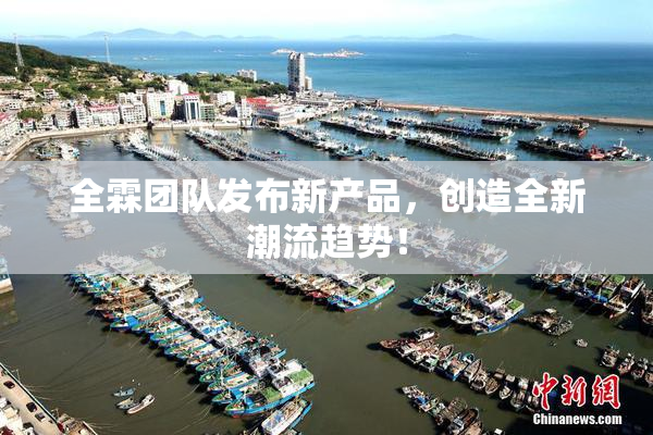 全霖团队发布新产品，创造全新潮流趋势！