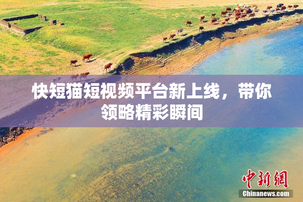 快短猫短视频平台新上线，带你领略精彩瞬间