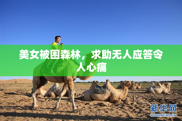 美女被困森林，求助无人应答令人心痛