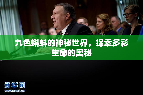 九色蝌蚪的神秘世界，探索多彩生命的奥秘