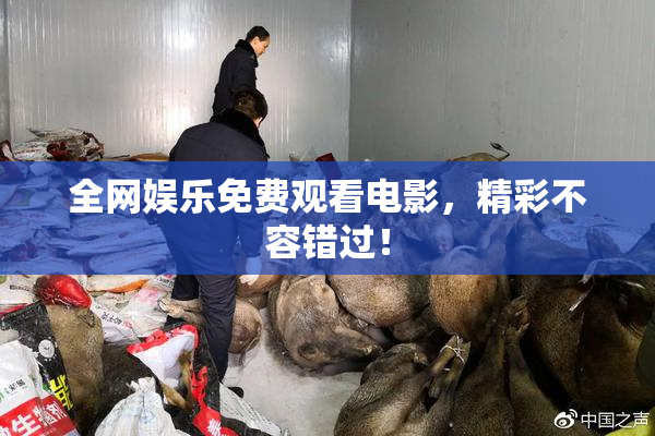 全网娱乐免费观看电影，精彩不容错过！