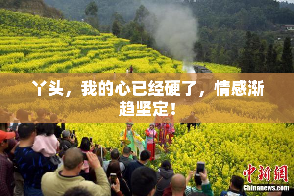 丫头，我的心已经硬了，情感渐趋坚定！