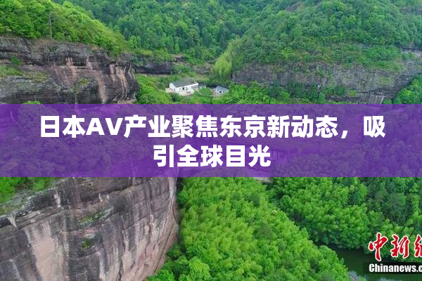 日本AV产业聚焦东京新动态，吸引全球目光