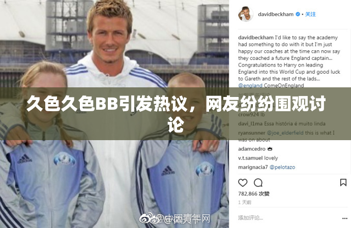久色久色BB引发热议，网友纷纷围观讨论