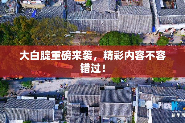 大白腚重磅来袭，精彩内容不容错过！