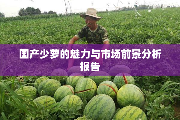 国产少萝的魅力与市场前景分析报告