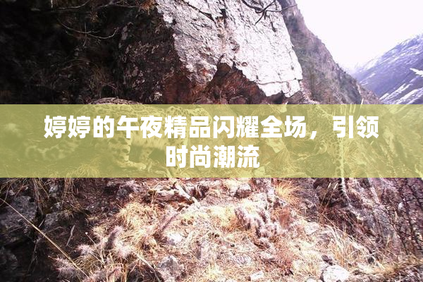 婷婷的午夜精品闪耀全场，引领时尚潮流