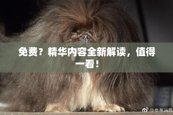 免费？精华内容全新解读，值得一看！