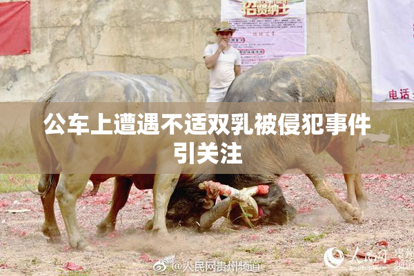 公车上遭遇不适双乳被侵犯事件引关注