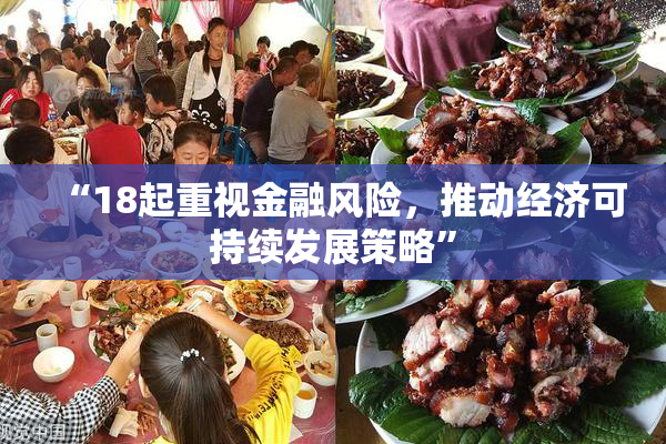 “18起重视金融风险，推动经济可持续发展策略”