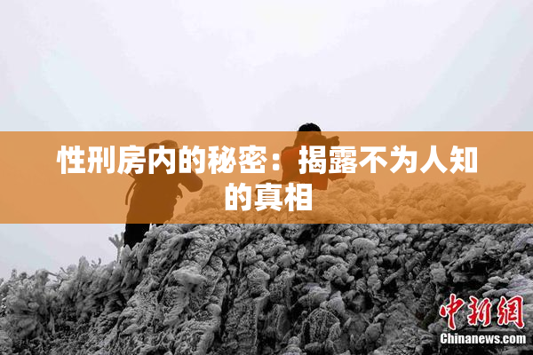 性刑房内的秘密：揭露不为人知的真相