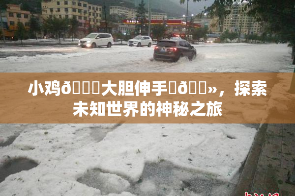 小鸡🐔大胆伸手‌🐻，探索未知世界的神秘之旅