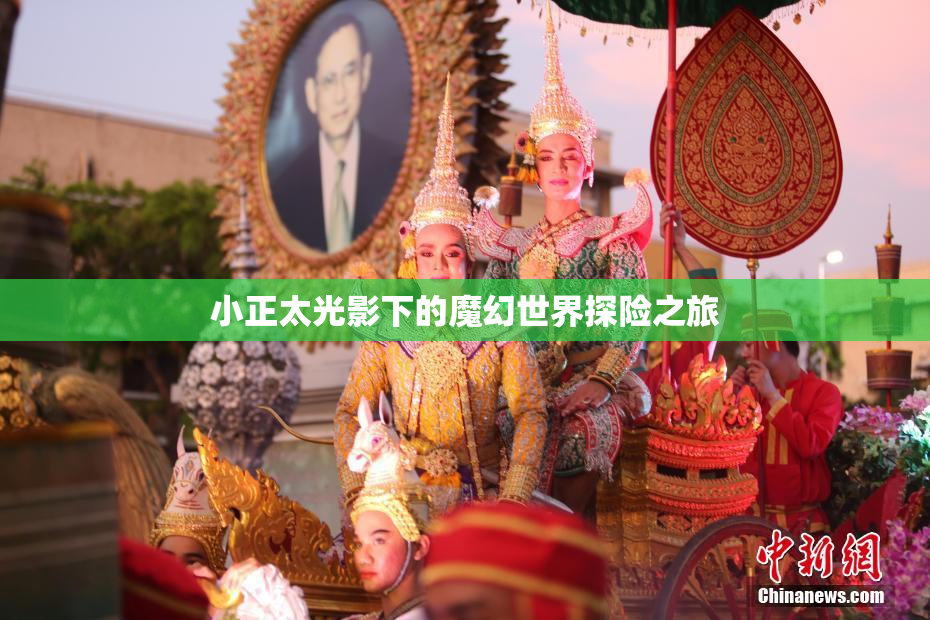 小正太光影下的魔幻世界探险之旅