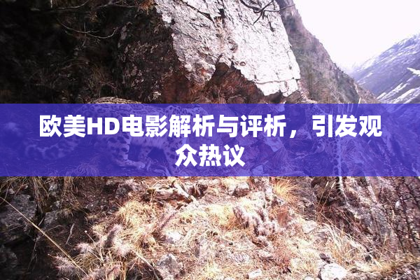 欧美HD电影解析与评析，引发观众热议