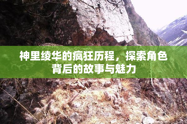神里绫华的疯狂历程，探索角色背后的故事与魅力