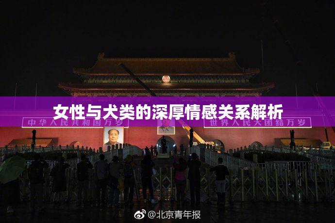 女性与犬类的深厚情感关系解析