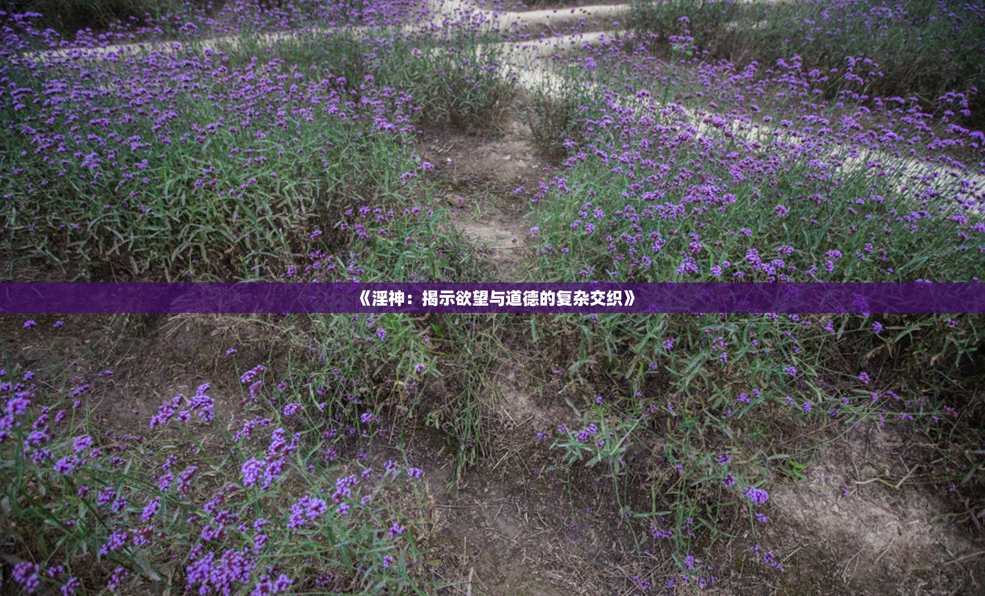 《淫神：揭示欲望与道德的复杂交织》