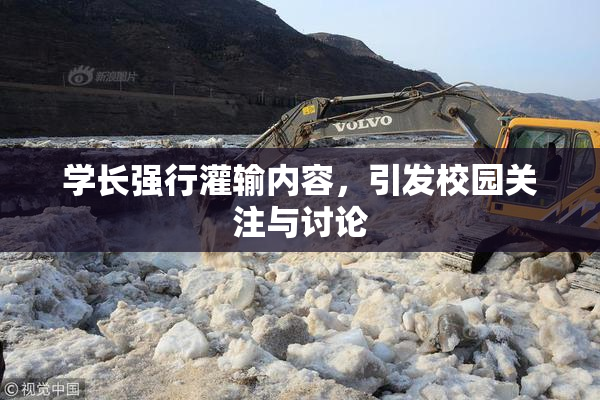学长强行灌输内容，引发校园关注与讨论