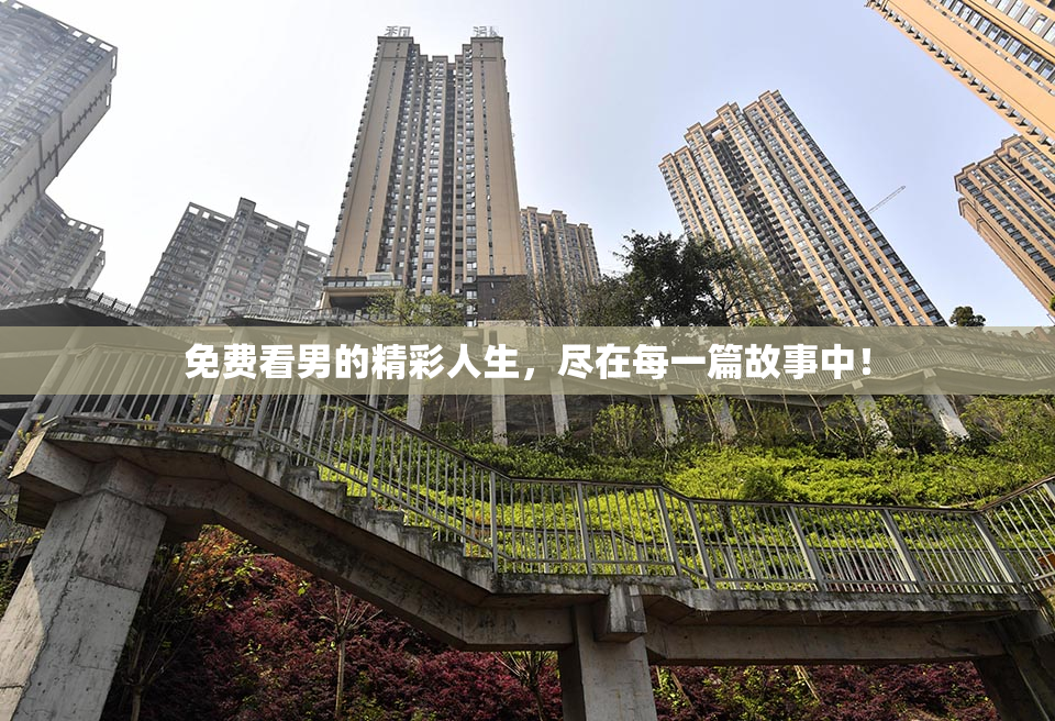 免费看男的精彩人生，尽在每一篇故事中！