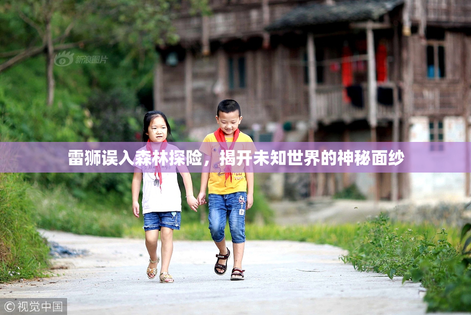 雷狮误入森林探险，揭开未知世界的神秘面纱