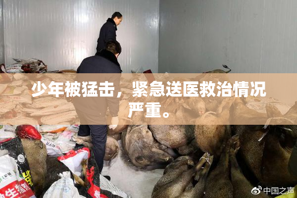 少年被猛击，紧急送医救治情况严重。