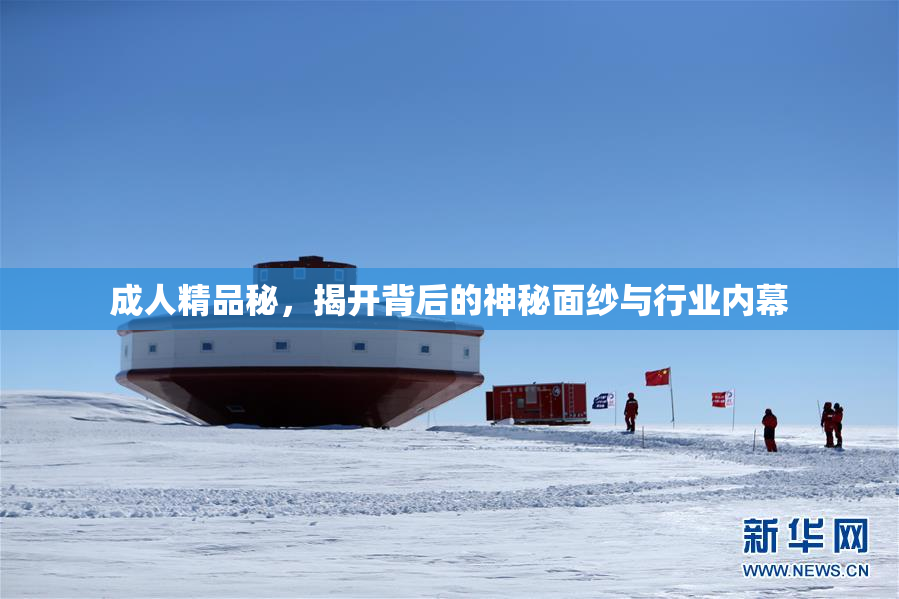 成人精品秘，揭开背后的神秘面纱与行业内幕