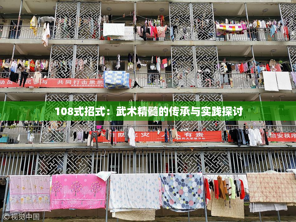 108式招式：武术精髓的传承与实践探讨