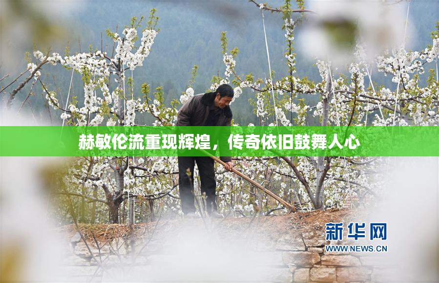 赫敏伦流重现辉煌，传奇依旧鼓舞人心