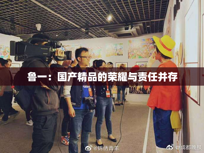 鲁一：国产精品的荣耀与责任并存