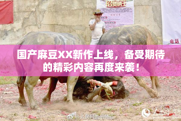 国产麻豆XX新作上线，备受期待的精彩内容再度来袭！
