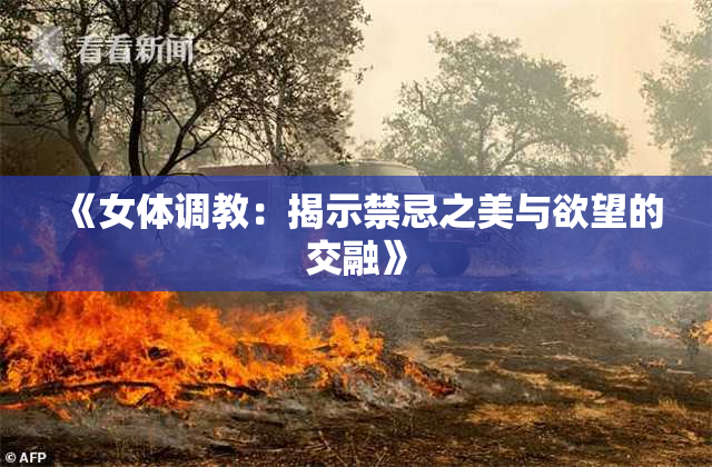 《女体调教：揭示禁忌之美与欲望的交融》