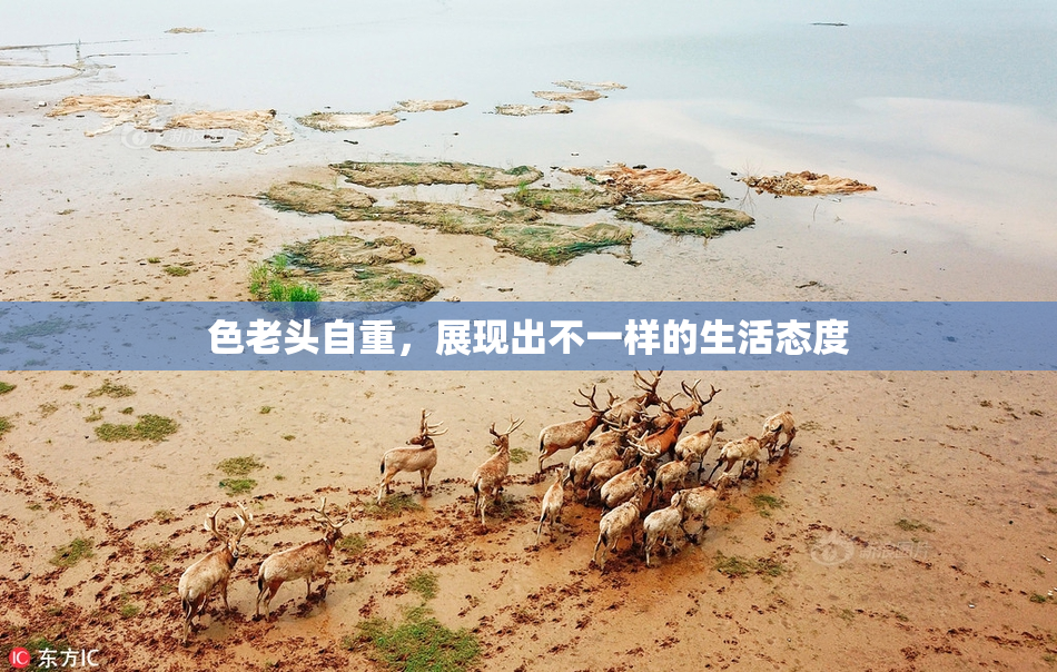 色老头自重，展现出不一样的生活态度