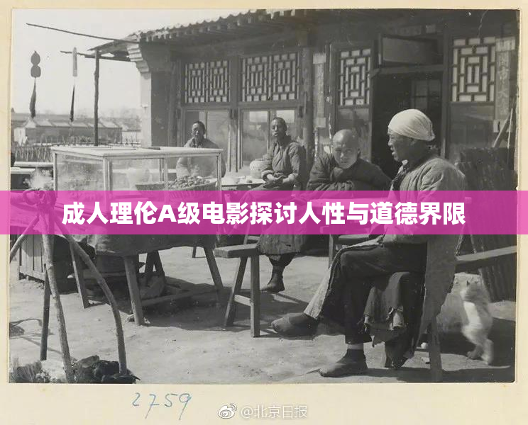 成人理伦A级电影探讨人性与道德界限